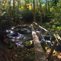 Lower Mt. Cammerer Trail